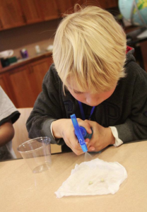 Wonder Wednesday #3! An Interview and Activity with Sprout Up’s Ryland King!
