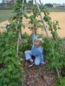 Wonder Wednesday #5: Give Peas a Chance