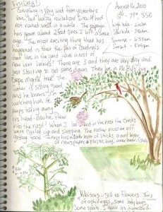 Nature Journal Page 1