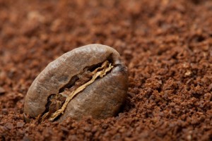 http://www.dreamstime.com/-image8296218