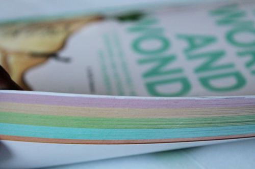 bookreview5-500x333