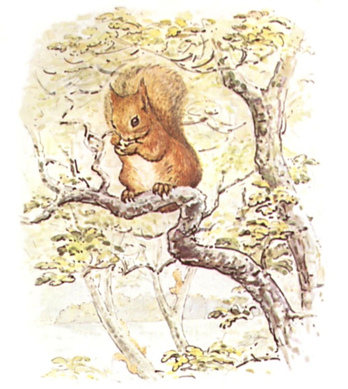 squirrel nutkin low rez