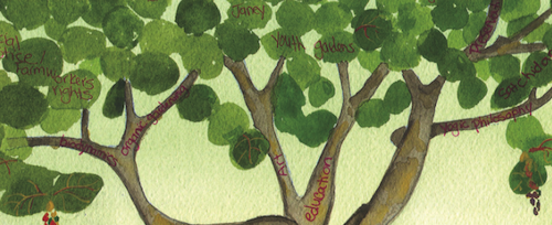 tree branches