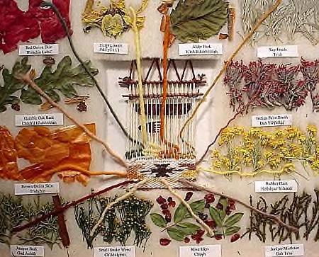 12-plant-Navajo-dye-chart