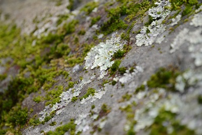 DSC_3193