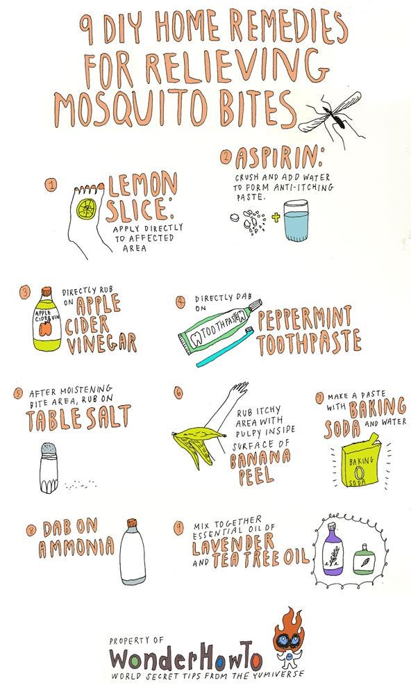 9-diy-home-remedies-for-relieving-itchy-mosquito-bites.w654
