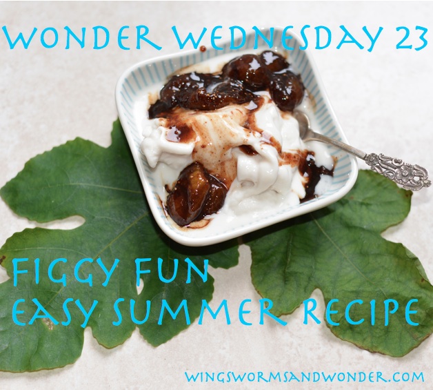 wonder wednesday 23 webgraphic