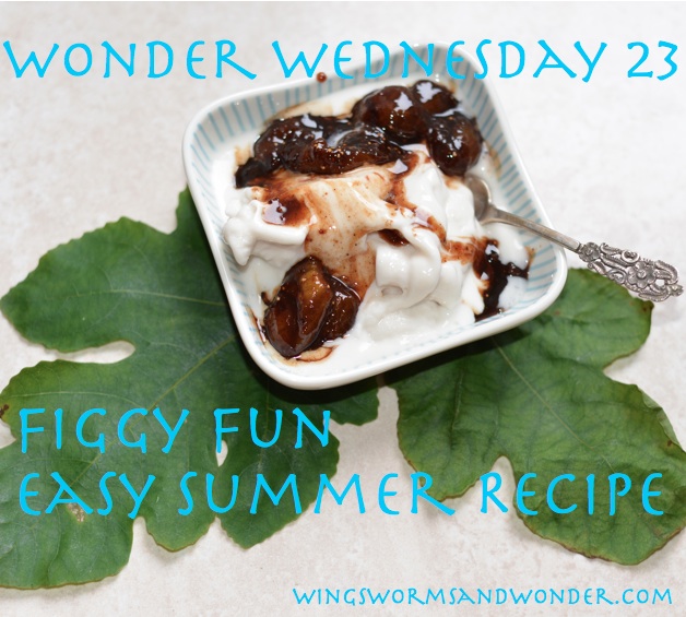 wonder wednesday 23 webgraphic