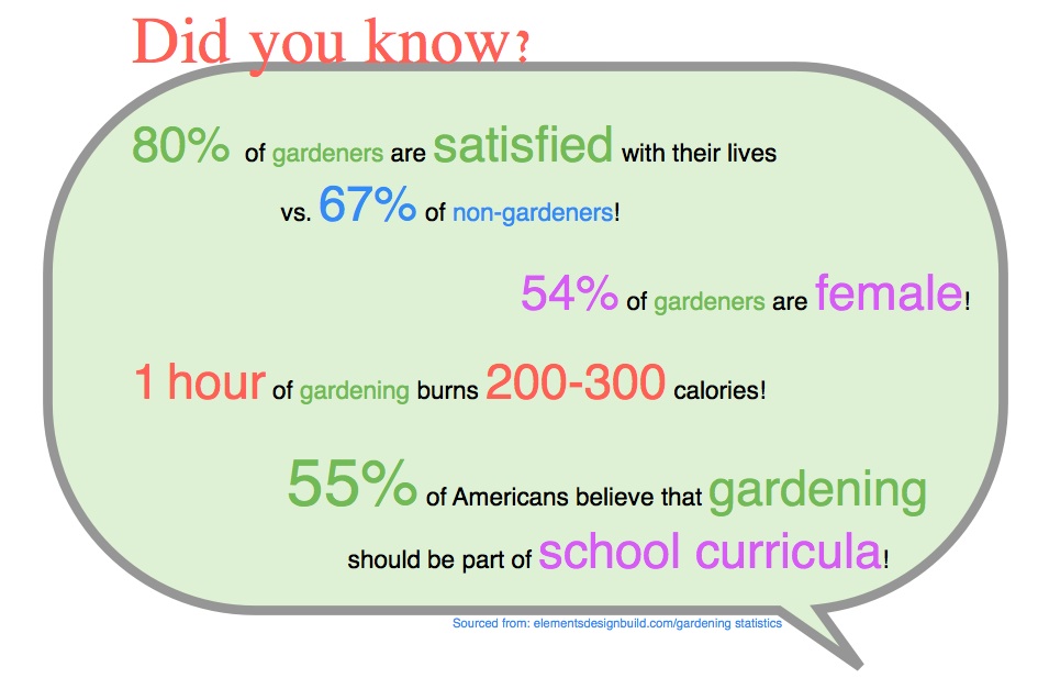did you know stats graphic