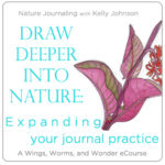 Deepen your nature journal practice and expand you creative connections with art and nature with Wings, Worms, and Wonder today! Click through to learn more about bringing nature into your life everyday through nature journaling.