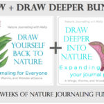 New to nature journaling? Try the Draw Yourself Back to Nature and Draw Deeper Into Nature eCourse Bundle!! Click through to watch a video and learn more!