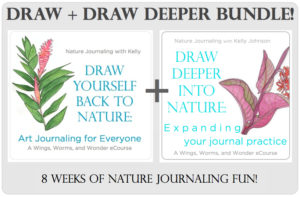 Build your nature journal practice, refine drawing and painting technique, strengthen your personal connections with the nature outside your door, spark your sense of wonder, and make nature journaling a part of everyday life. Click through to learn more about the Wigs, Worms, and Wonder Draw and Draw Deeper Nature Journal course bundle.