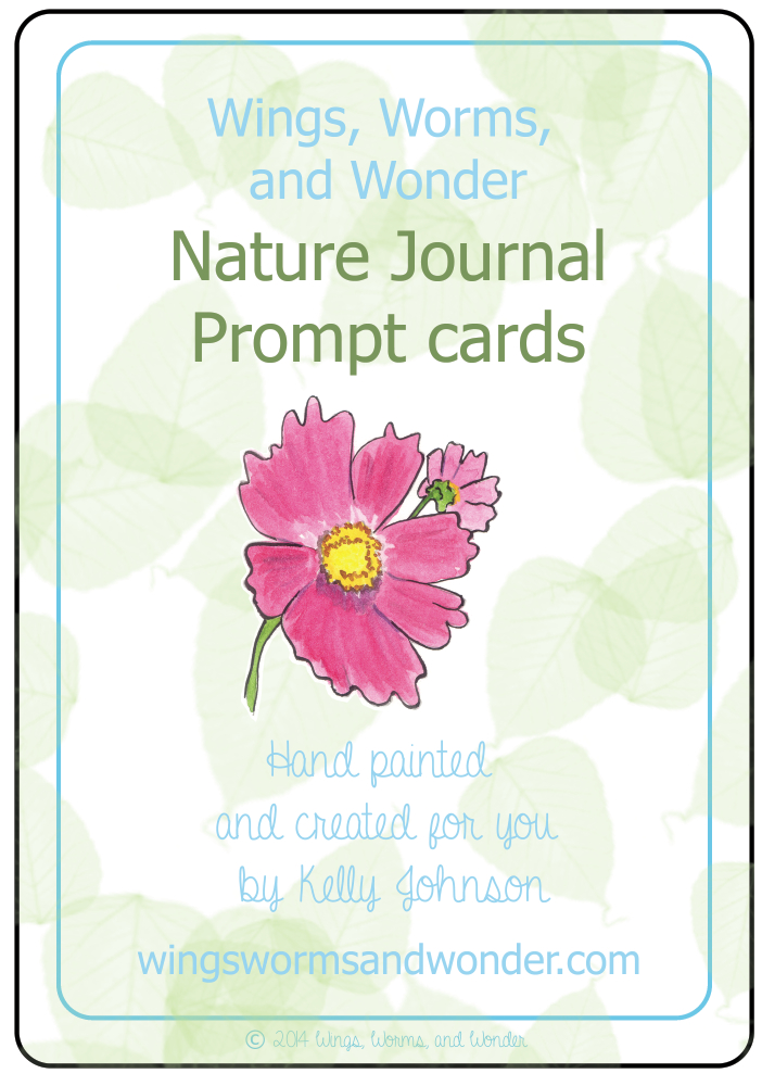 nature journal prompt cards title cover small