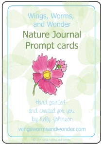 nature journal prompt cards title cover small