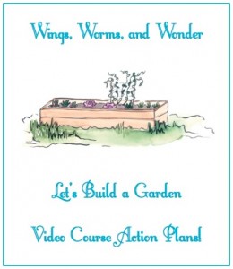 plan cover border