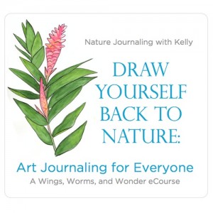Creatively connect with nature through journaling! Click through to learn more about connecting with the nature right outside your door through nature journaling, meditation,  what you eat, and creativity!