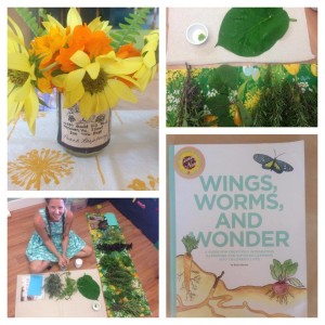 Creatively Connect with your natural world! Click through to learn all about the course, connecting with nature through the arts,  and join a supportive nature journaling community!