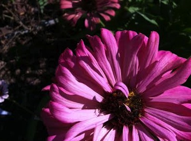 unnamed-4