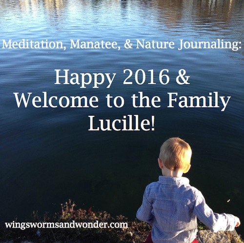 Strong roots in nature build resiliency helping us navigate life with peace and strength. Click through to learn more with Wings, Worms, and Wonder!