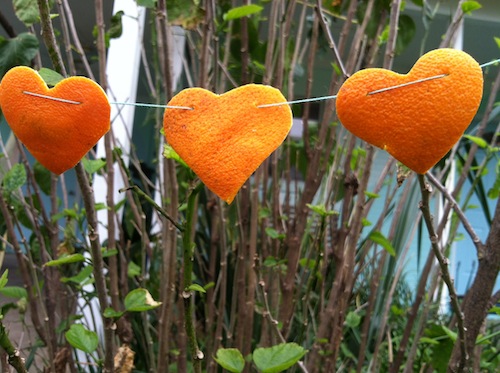 Love the cheery sweet smell of citrus? Click through to get a FREE Wonder Wednesday citrus garland making activity!