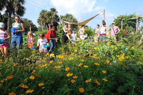 Maintaining a family friendly garden! Click through to check out this Wings, Worms, and Wonder guest post by Kacey Mya of the drifter collective on family friendly gardening!