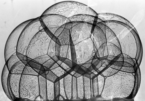 Frei Otto is an excellent example of ecological literacy in action. Click through to learn how he creates structural harmony with both people and planet through play!