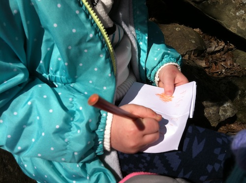 Whether for with your kids or students, I've prepared a list of 5 tips for keeping kids enthusiastic on the trail, saving you from tears and piggy back rides! Click through and get great ideas for successful hiking with kids!