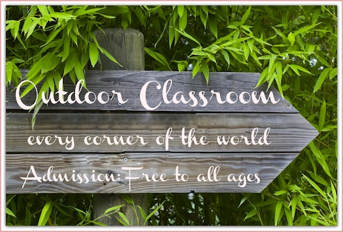 Get ideas for teaching lessons outside in this post!