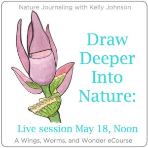 Join me for an hour of fun free nature journaling fun!! And win prizes too! Click through to register!