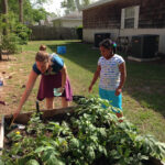 jordan planting