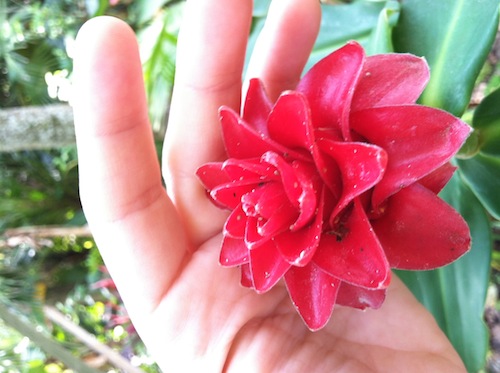It's very easy to forget the joy that comes from practice in hurried daily life. Click through to get ideas from Wings, Worms, and Wonder on how the practice of practice brings peace and joy to daily life! 