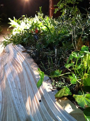 Learn how the Lowline is balancing nature and technology in NYC! Click to discover more with Wings, Worms, and Wonder!