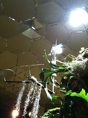 Learn how the Lowline is balancing nature and technology in NYC! Click to discover more with Wings, Worms, and Wonder!