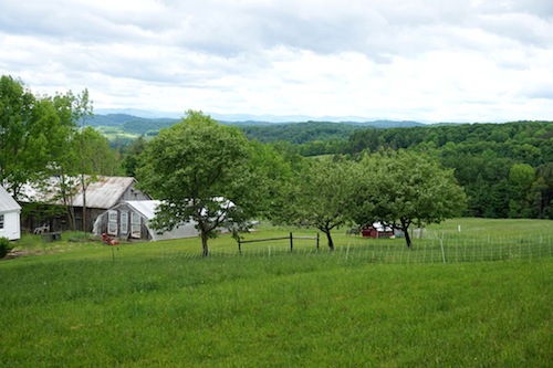 Welcome back Amy Parmelee sharing about her latest farm stay in Vermont! Click to get inspired for your own farm stay!
