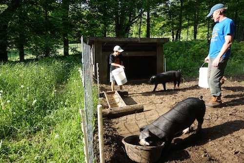 Welcome back Amy Parmelee sharing about her latest farm stay in Vermont! Click to get inspired for your own farm stay!