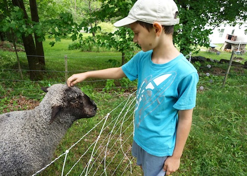 Welcome back Amy Parmelee sharing about her latest farm stay in Vermont! Click to get inspired for your own farm stay!