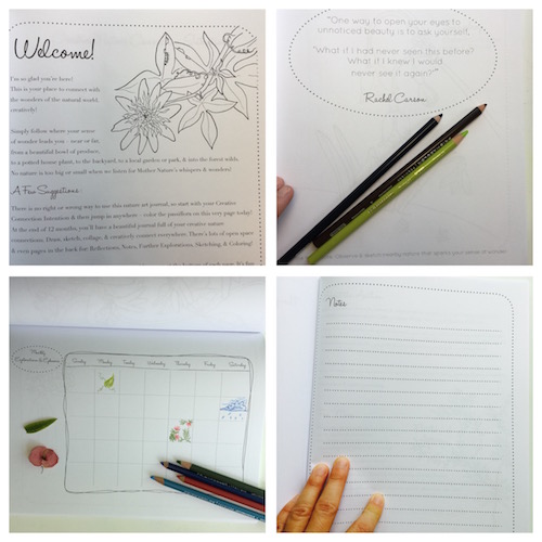 The Wings, Worms, and Wonder 12 Month Art & Nature Journal is finally here! Click through to discover how it inspires your creative nature connections!
