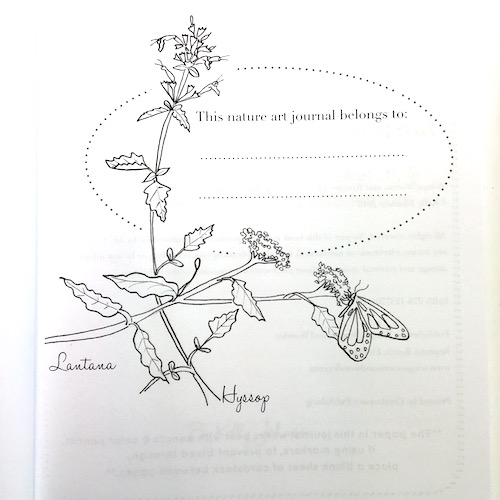 The Wings, Worms, and Wonder 12 Month Art & Nature Journal is finally here! Click through to discover how it inspires your creative nature connections!