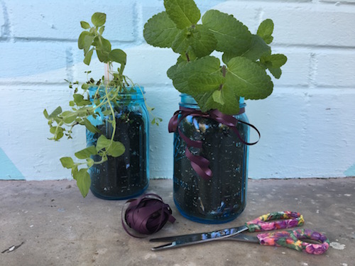 It's Wonder Wednesday 51! Click to learn to make a garden in a glass jar and bring a little wonder into your Wednesday and everyday after!