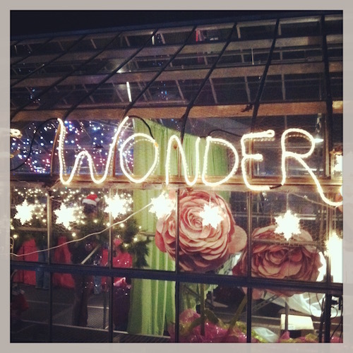 Winter solstice is December 21, just around the corner! Click through for fun ideas on celebrating with hygge this year the Wings, Worms, and Wonder way!