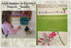 Check out this awesome blog post by the Montessori inspired Magical Movement Company! It's chock full of great ideas on fun ways to nature journal indoors in cold months!