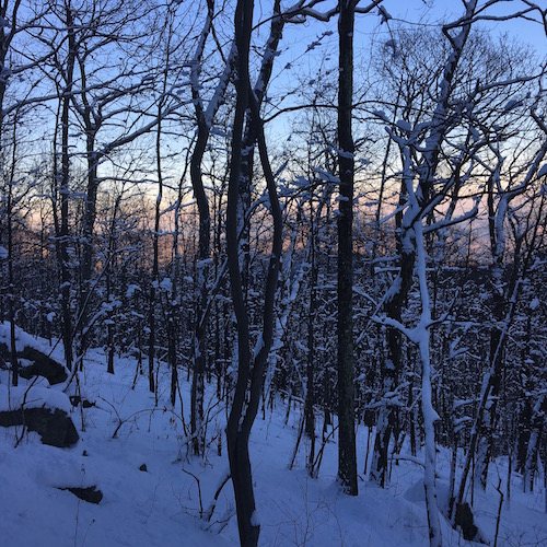 Get some wacky weather outdoor adventure inspiration! Click through for ideas for tons of Wings, Worms, and Wonder winter outdoor fun!