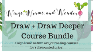 Learn how to draw nature in a relaxed way! Click and check out these course bundles in the Wings, Worms, and Wonder online school!