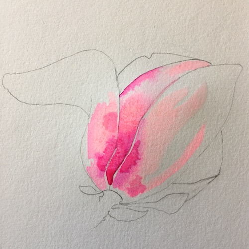 Fluorescent florescence? What is that? In this Wings, Worms, and Wonder blog post we break it down and discover how to paint spring flowers that pop using fluorescent underpainting.
