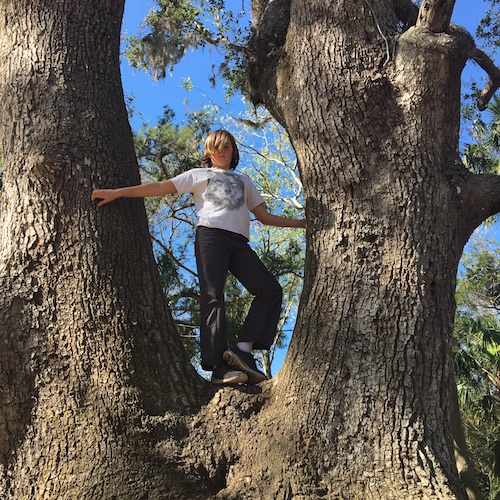 Create a tree ceremony this Earth Day! Click through to get a Wings, Worms, and Wonder plan for your own Earth Day Tree Ceremony! 