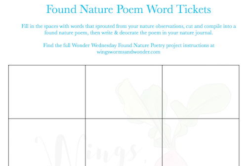 Since this month is National Poetry Month, we're going to have a little Wonder Wednesday fun with found poetry! Click to get your Wings, Worms, and Wonder creative nature connection activity!