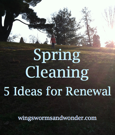 It's a "Best of Wings, Worms, and Wonder Spring"! Find 7 fun ideas to get spring connecting: from you sketchbook to your garden to you life in general!