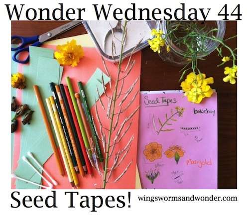 It's a "Best of Wings, Worms, and Wonder Spring"! Find 7 fun ideas to get spring connecting: from you sketchbook to your garden to you life in general!