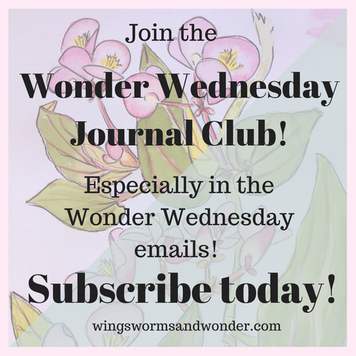 copy-of-subscribe-today