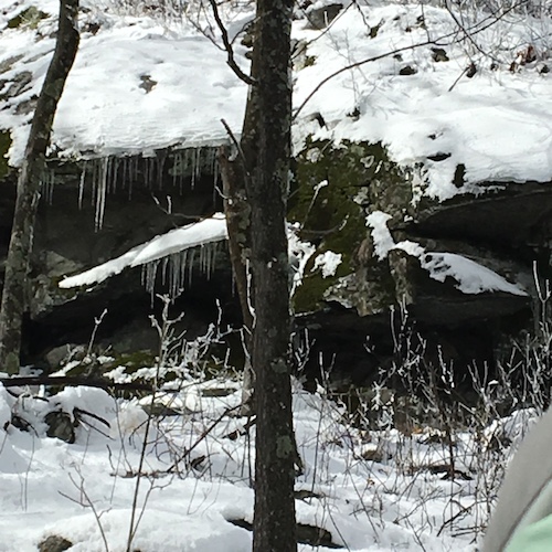 Listen for nature's whispers, seeks nature's signs, and learn to read the book of nature with this Wings, Worms, and Wonder Wonder Wednesday Nature's Signs Scavenger Hunt Activity